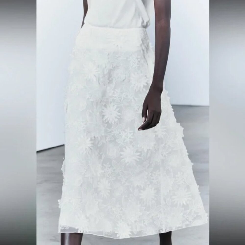 Zara Embroidered midi skirt